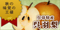 特産品・呉羽梨