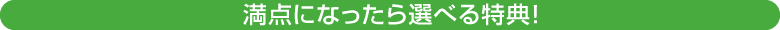 満点になったら選べる特典！