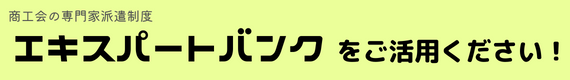 タイトル（エキスパート）