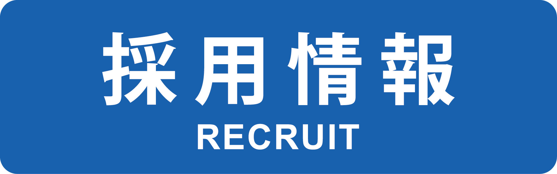 採用情報