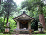 瀧之社と俊寛杉