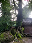 宮島神社