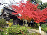 慈光院