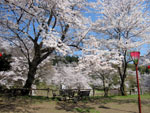 慈光院