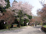 本行寺・水行