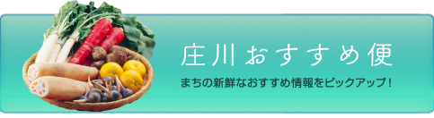 庄川おすすめ便